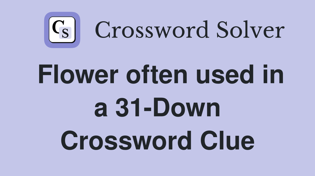 Flower often used in a 31-Down Crossword Clue