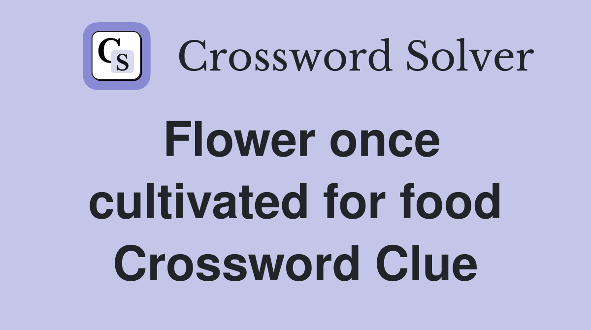 Flower once cultivated for food Crossword Clue