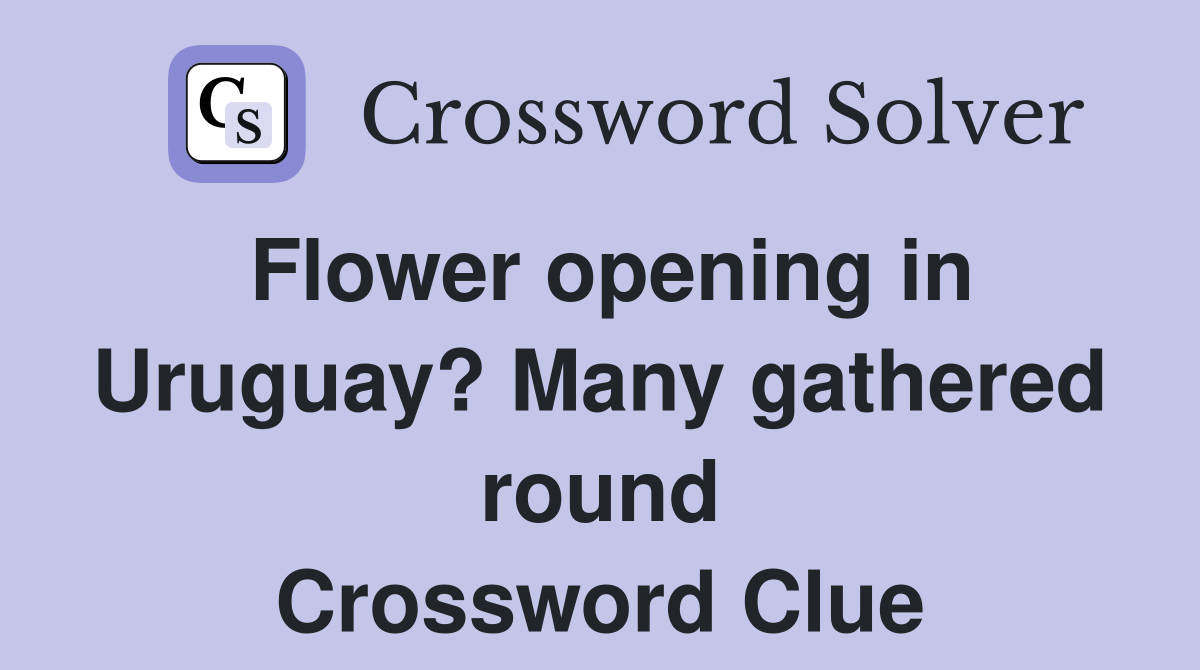 Flower opening in Uruguay? Many gathered round Crossword Clue