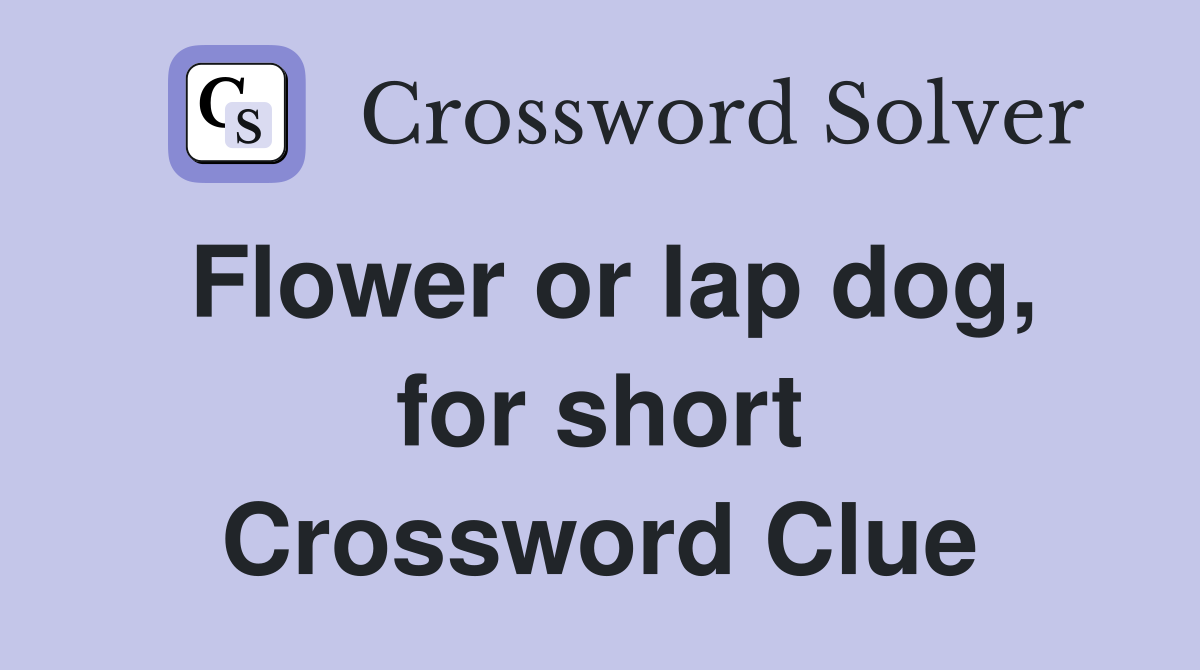 Flower or lap dog, for short Crossword Clue