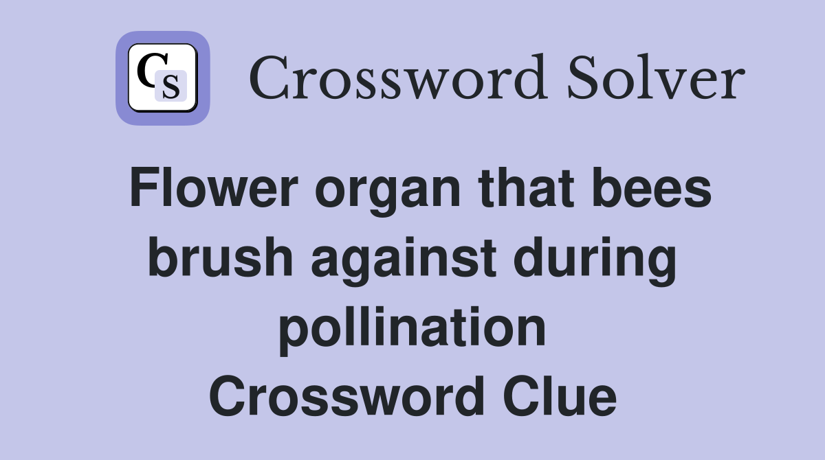 Flower organ that bees brush against during pollination Crossword Clue