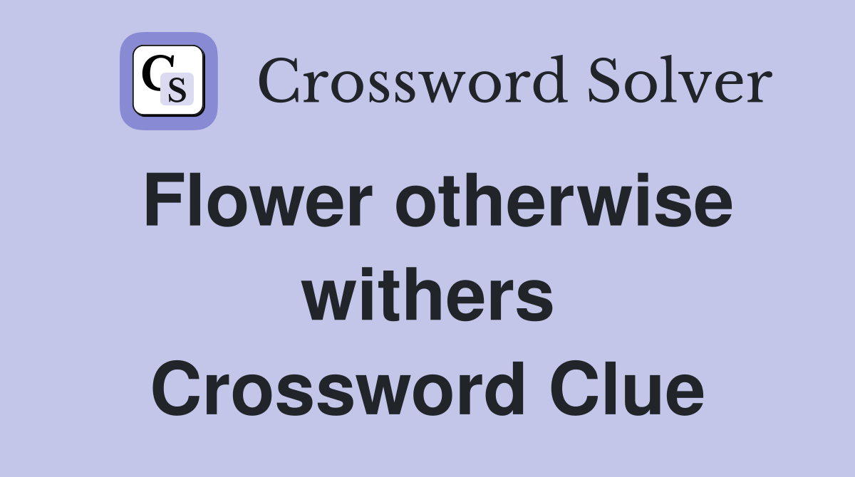 Flower otherwise withers Crossword Clue