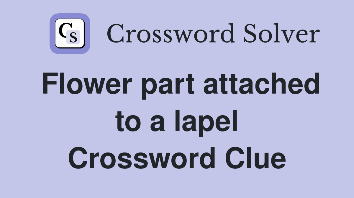 Flower part attached to a lapel Crossword Clue