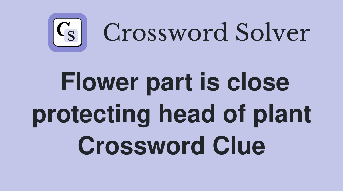 Flower part is close protecting head of plant Crossword Clue