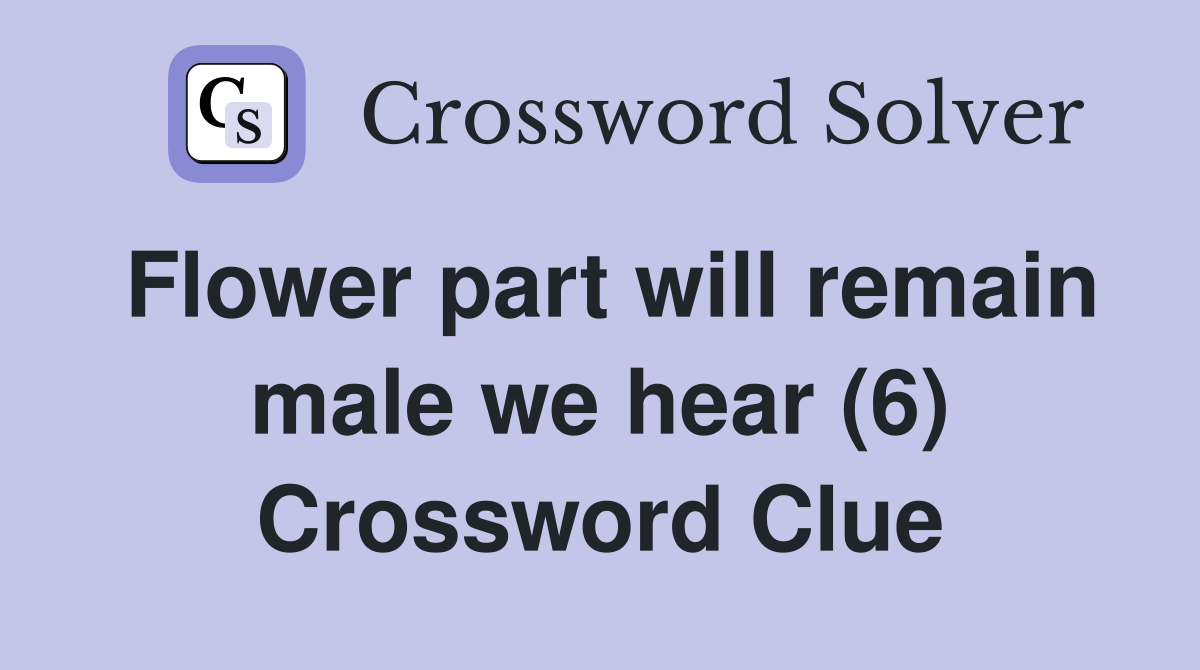 Flower part will remain male we hear (6) Crossword Clue