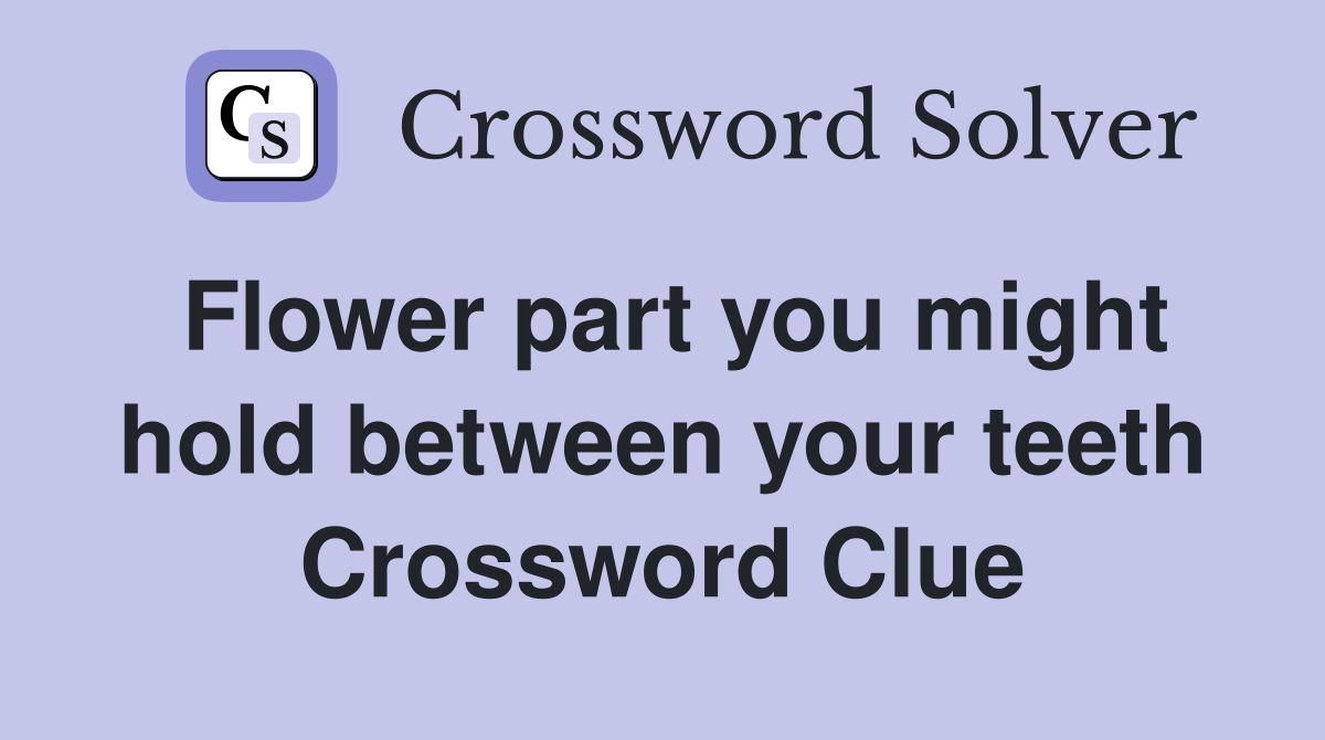 Flower part you might hold between your teeth Crossword Clue