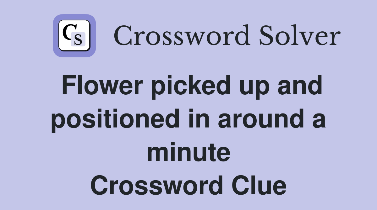 Flower picked up and positioned in around a minute Crossword Clue
