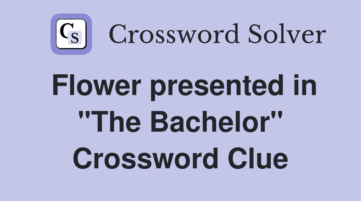 Flower presented in "The Bachelor" Crossword Clue