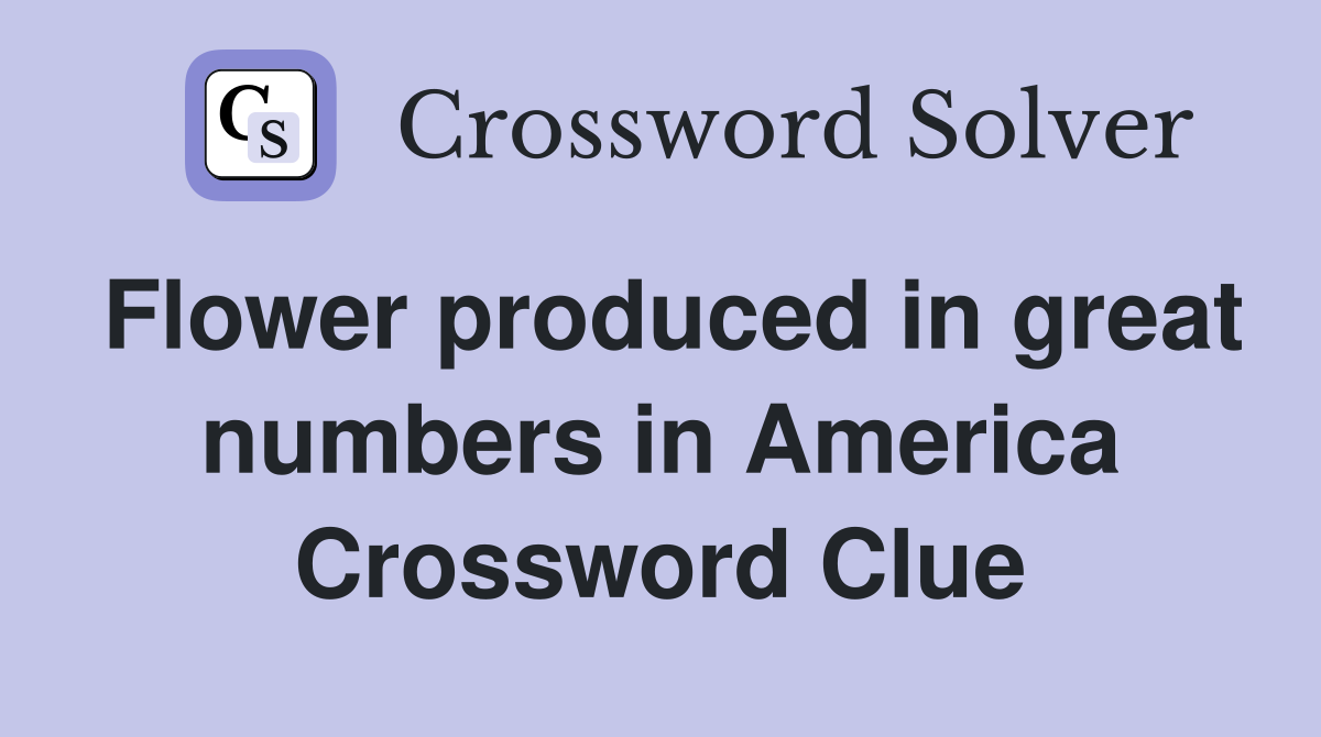 Flower produced in great numbers in America Crossword Clue