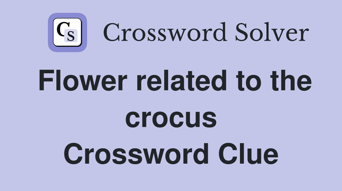 Flower related to the crocus Crossword Clue