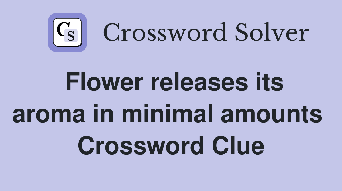 Flower releases its aroma in minimal amounts  Crossword Clue