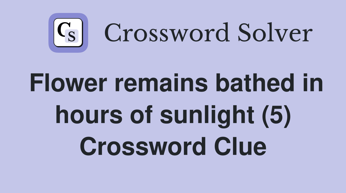 Flower remains bathed in hours of sunlight (5) Crossword Clue