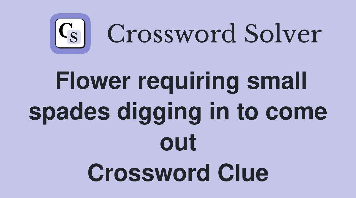 Flower requiring small spades digging in to come out Crossword Clue
