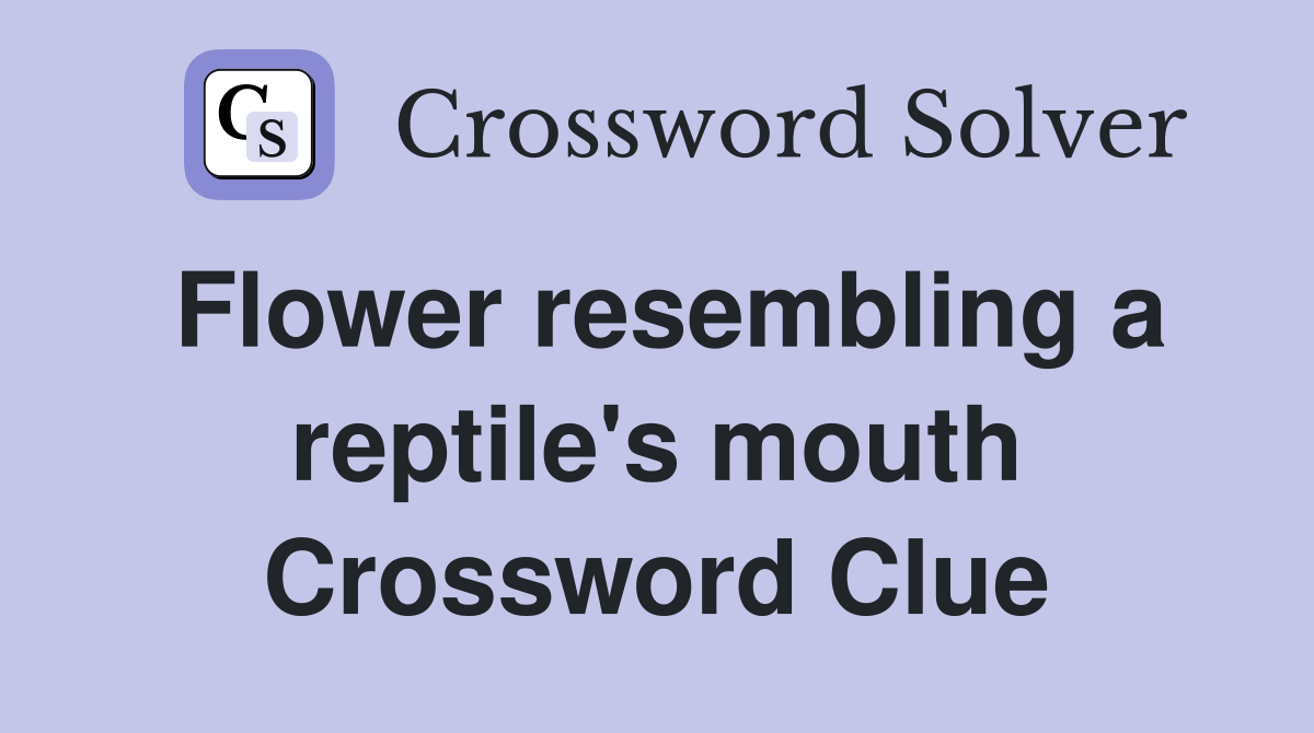 Flower resembling a reptile's mouth Crossword Clue