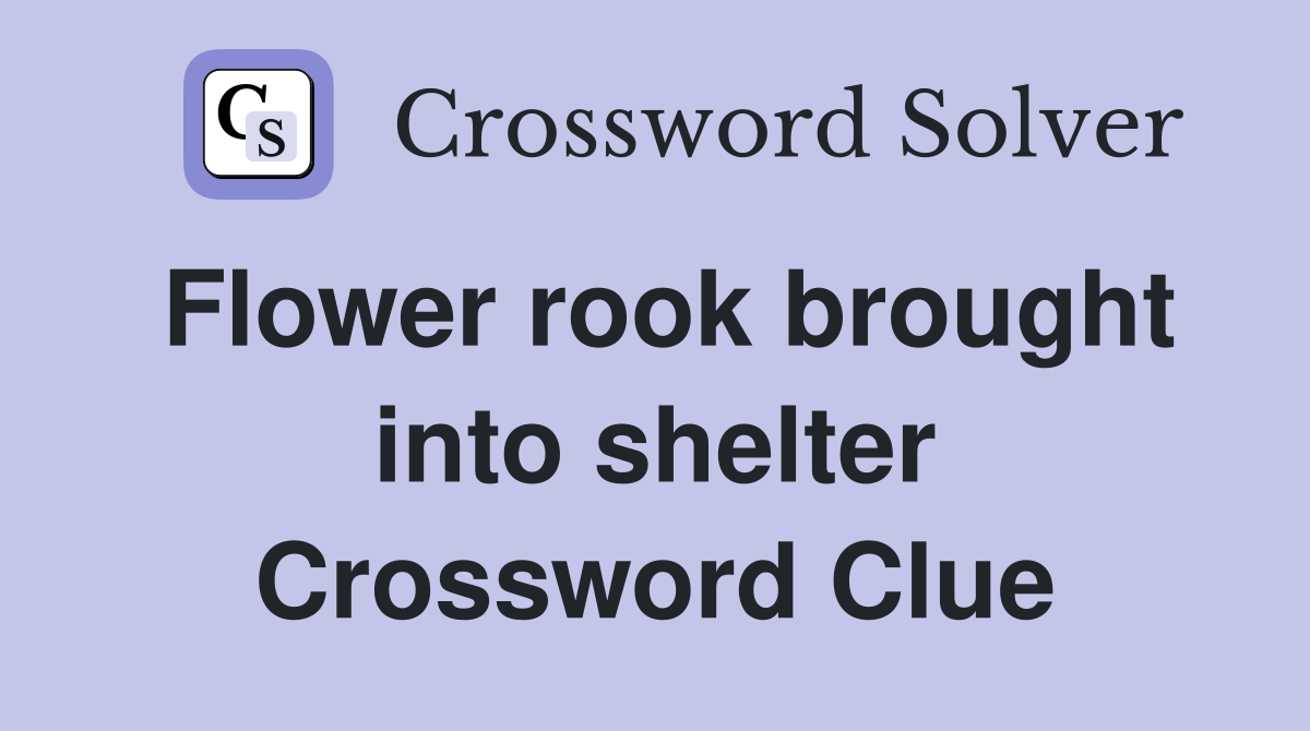 Flower rook brought into shelter Crossword Clue