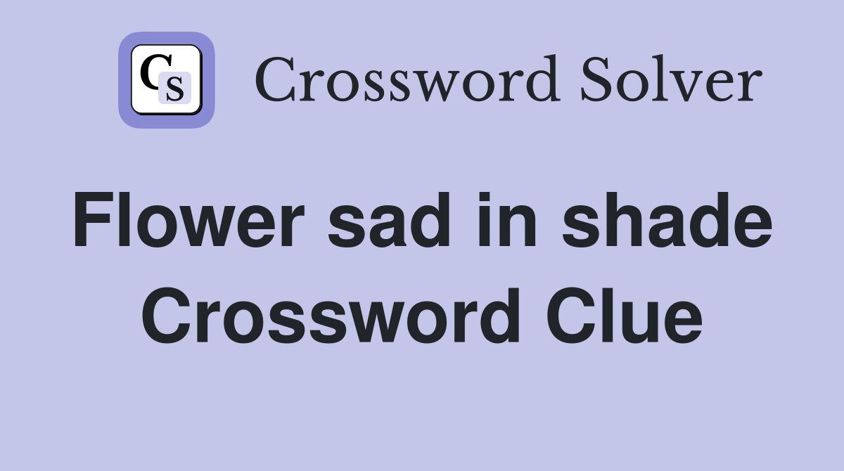 Flower sad in shade  Crossword Clue