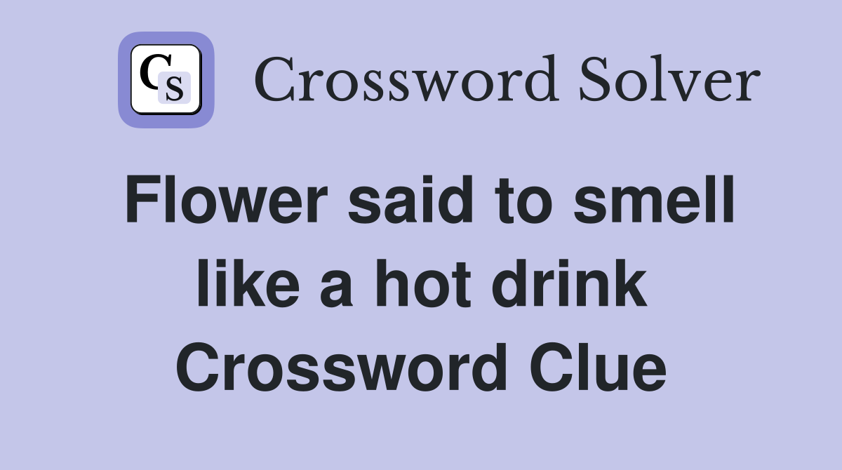 Flower said to smell like a hot drink Crossword Clue