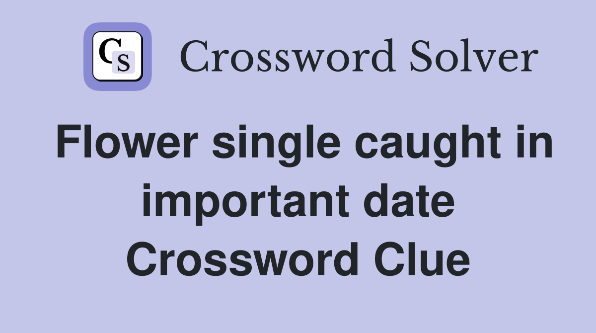 Flower single caught in important date Crossword Clue