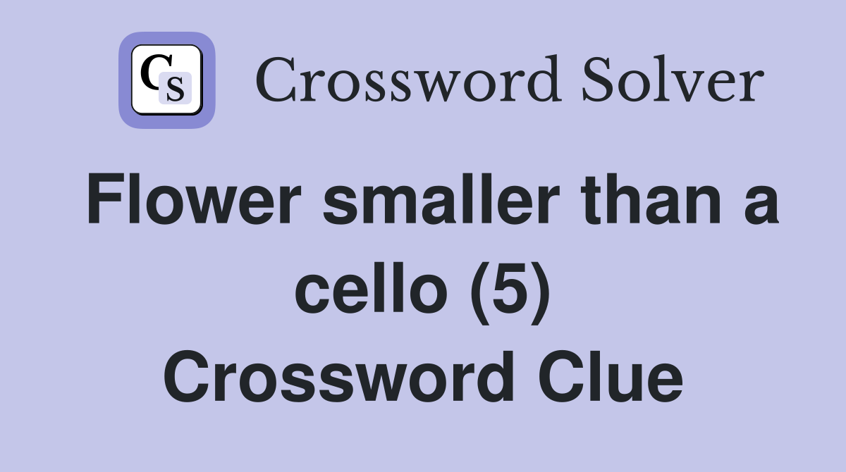 Flower smaller than a cello (5) Crossword Clue