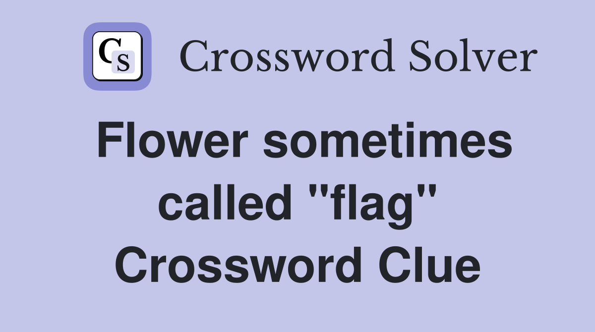 Flower sometimes called "flag" Crossword Clue