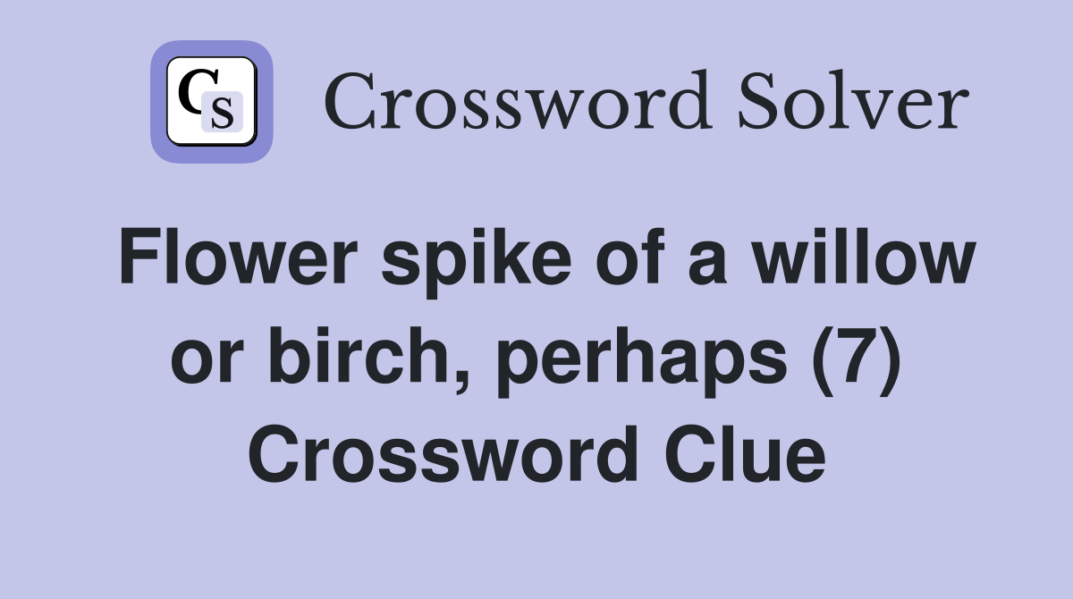 Flower spike of a willow or birch, perhaps (7) Crossword Clue