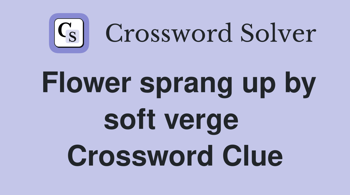 Flower sprang up by soft verge  Crossword Clue