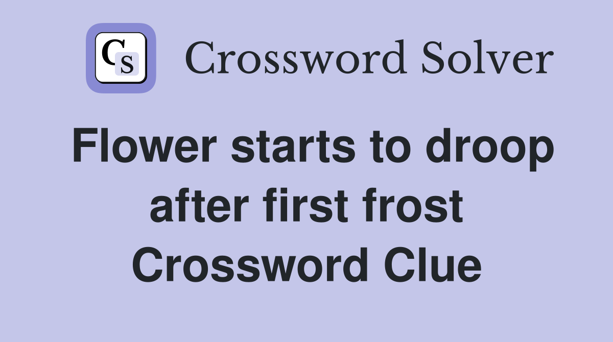 Flower starts to droop after first frost Crossword Clue