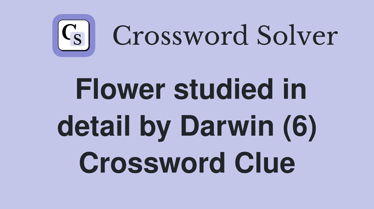 Flower studied in detail by Darwin (6) Crossword Clue