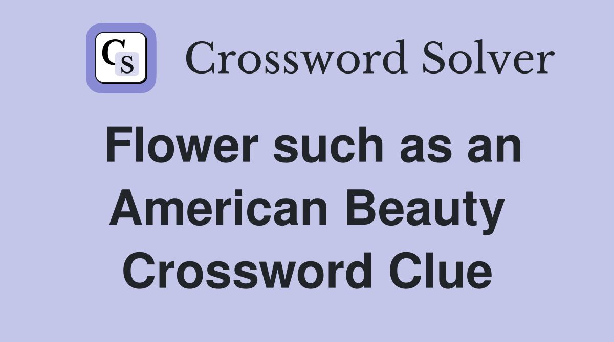 Flower such as an American Beauty Crossword Clue
