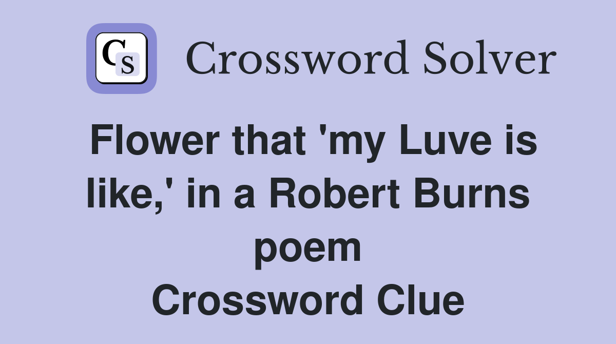 Flower that 'my Luve is like,' in a Robert Burns poem Crossword Clue