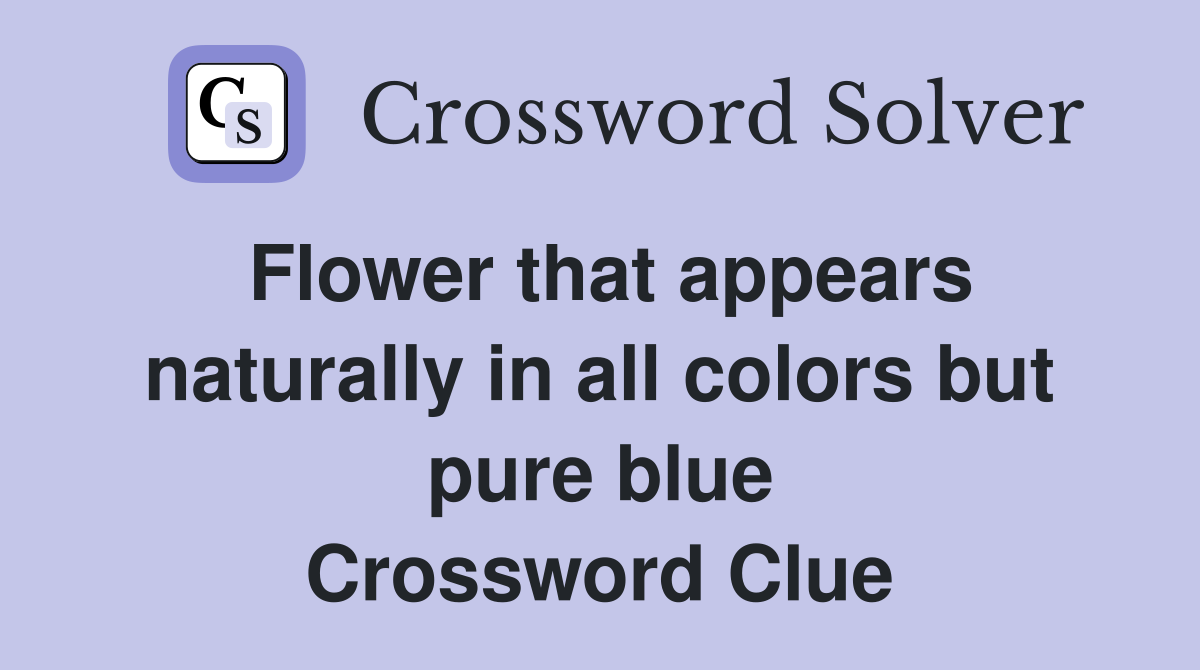 Flower that appears naturally in all colors but pure blue Crossword Clue