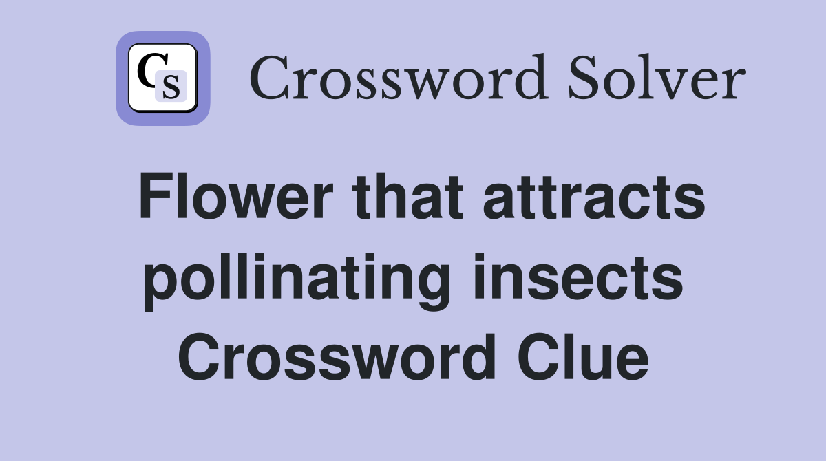 Flower that attracts pollinating insects Crossword Clue