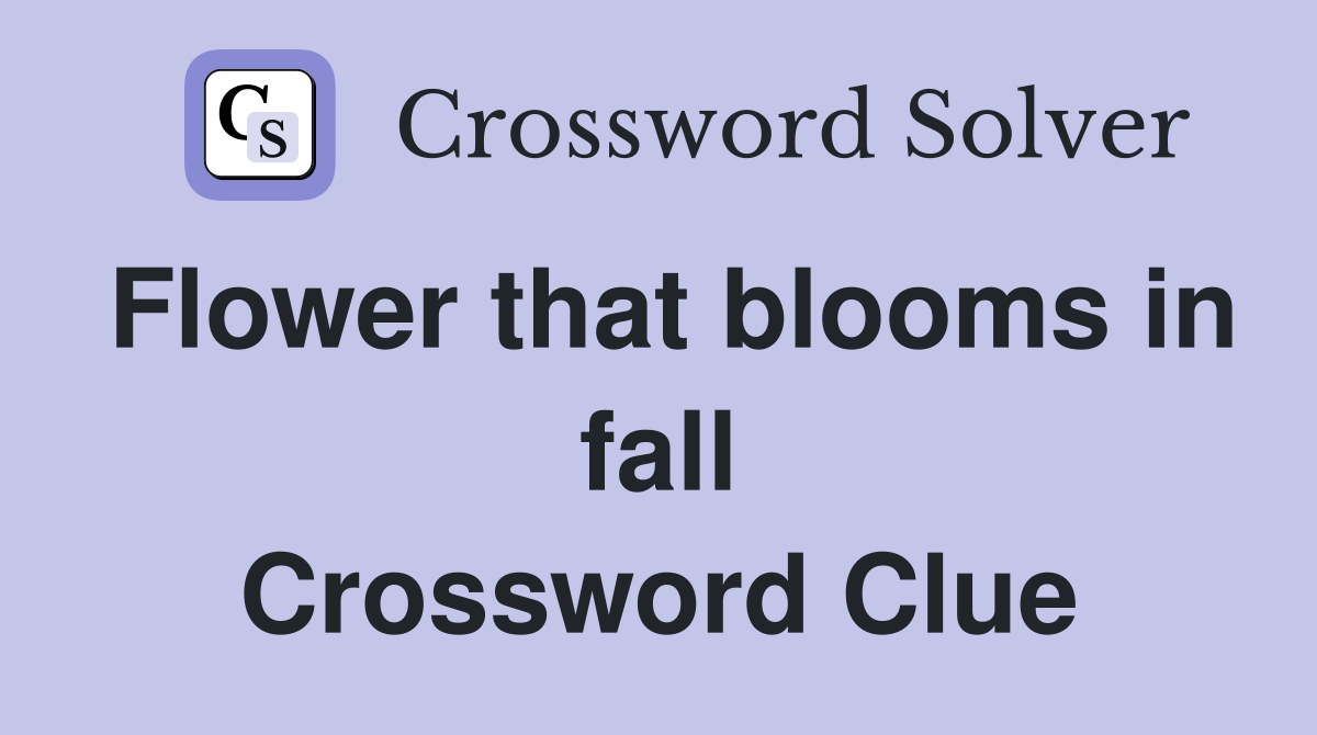 Flower that blooms in fall Crossword Clue