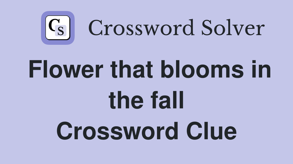 Flower that blooms in the fall Crossword Clue