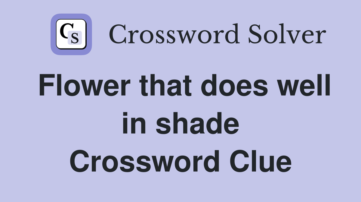 Flower that does well in shade Crossword Clue