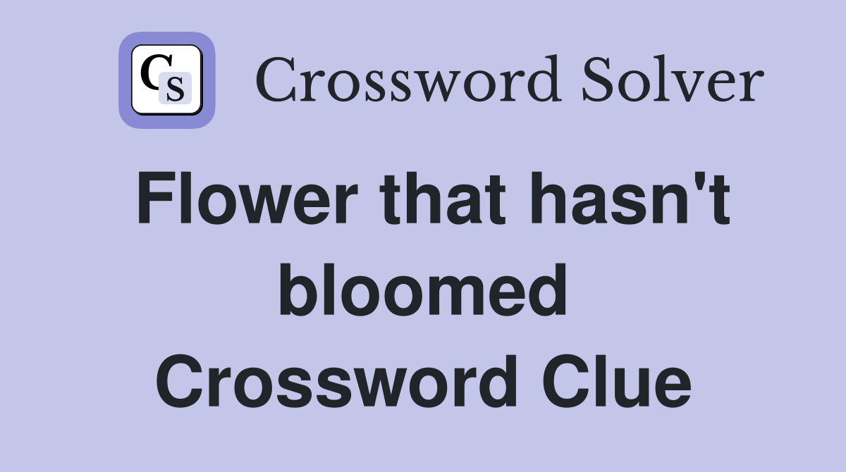 Flower that hasn't bloomed Crossword Clue