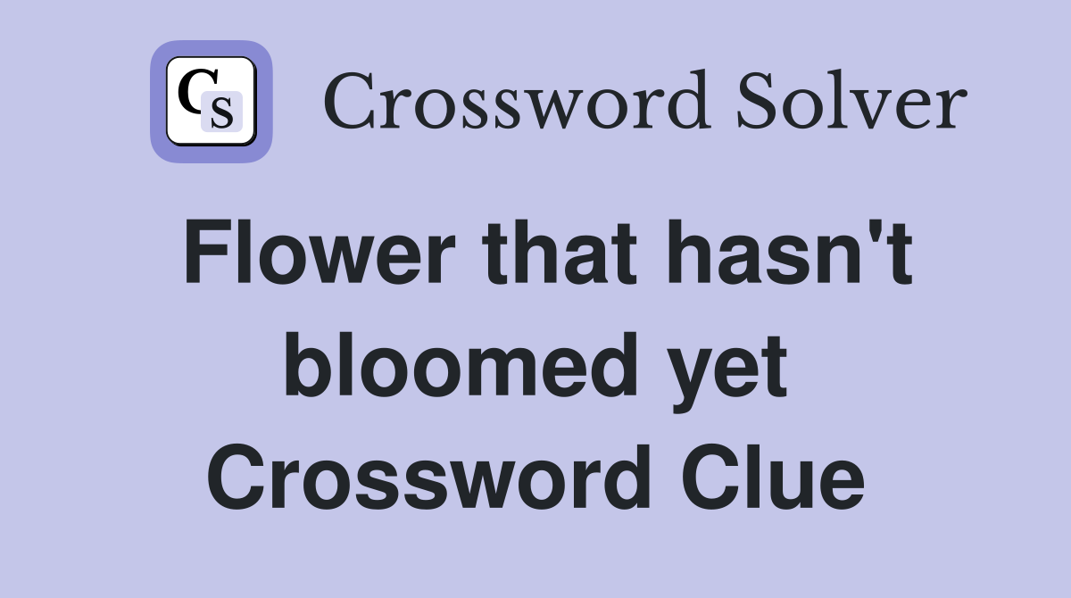 Flower that hasn't bloomed yet Crossword Clue