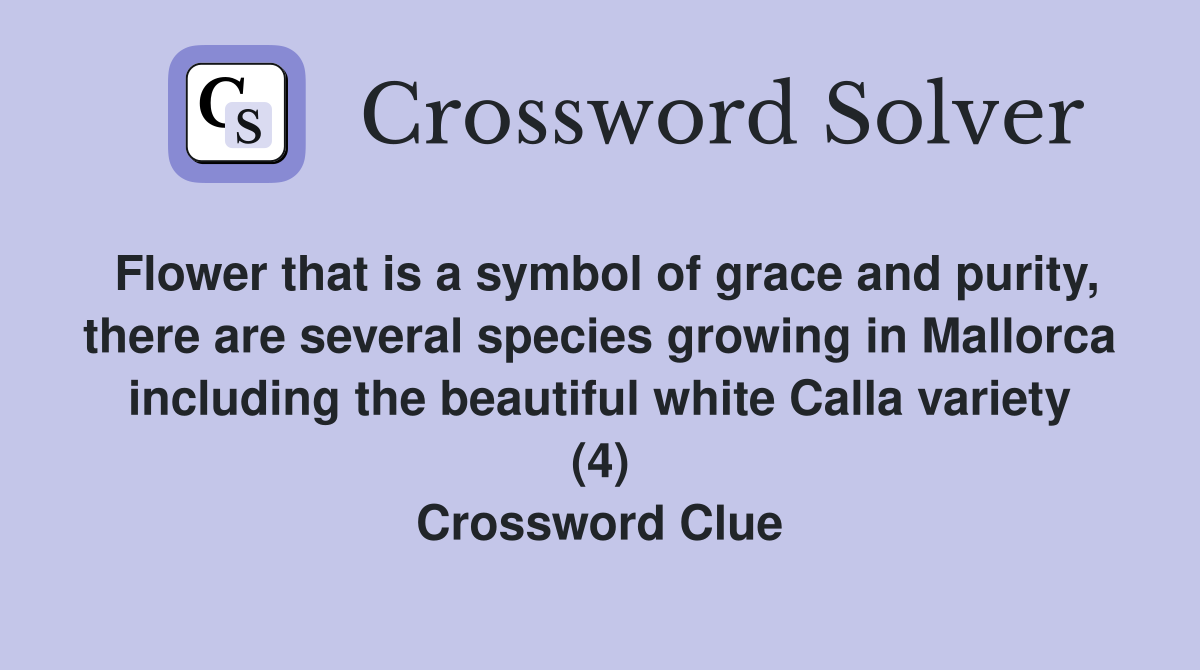Flower that is a symbol of grace and purity, there are several species growing in Mallorca including the beautiful white Calla variety (4) Crossword Clue