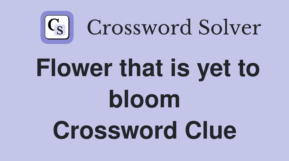 Flower that is yet to bloom Crossword Clue