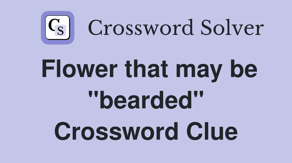 Flower that may be "bearded" Crossword Clue