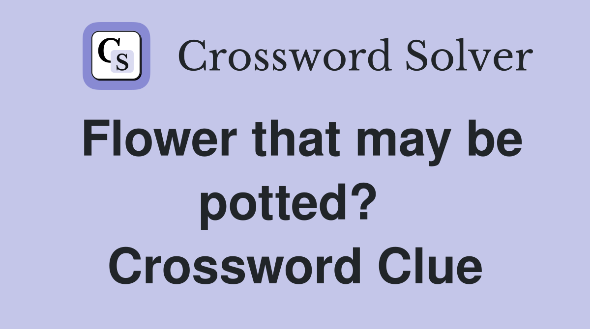 Flower that may be potted?  Crossword Clue