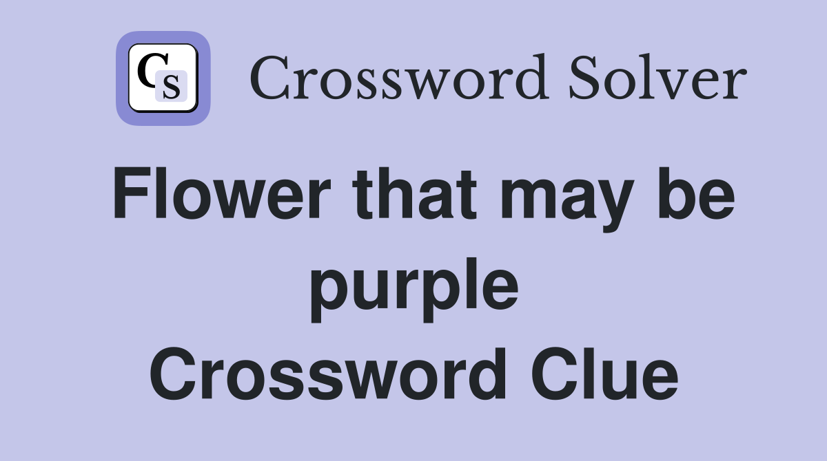 Flower that may be purple Crossword Clue