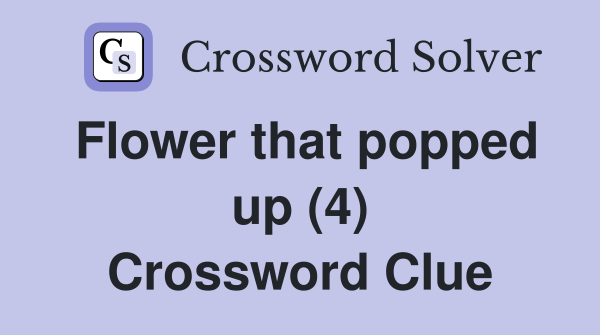 Flower that popped up (4) Crossword Clue