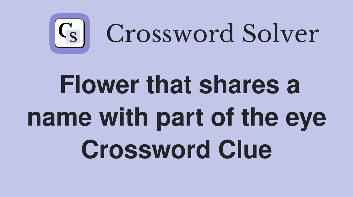 Flower that shares a name with part of the eye Crossword Clue