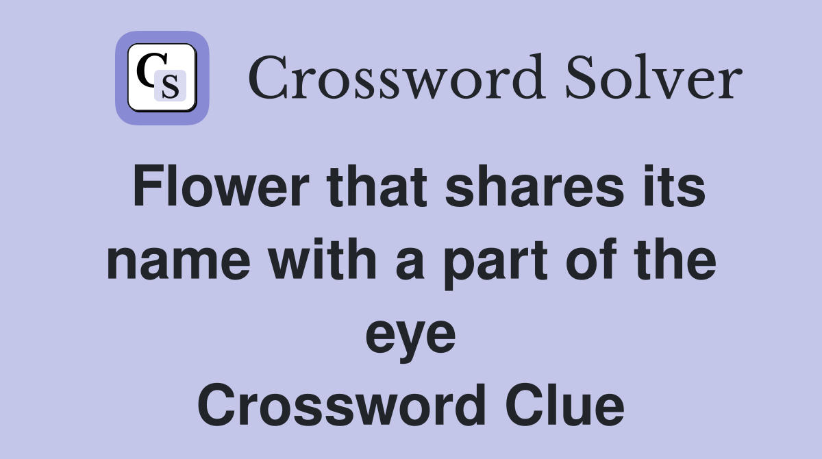 Flower that shares its name with a part of the eye Crossword Clue