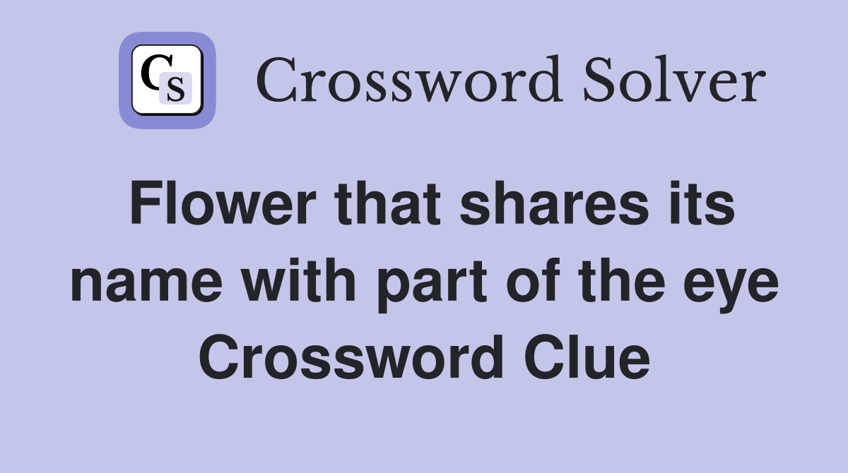 Flower that shares its name with part of the eye Crossword Clue
