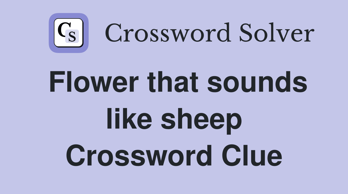 Flower that sounds like sheep Crossword Clue