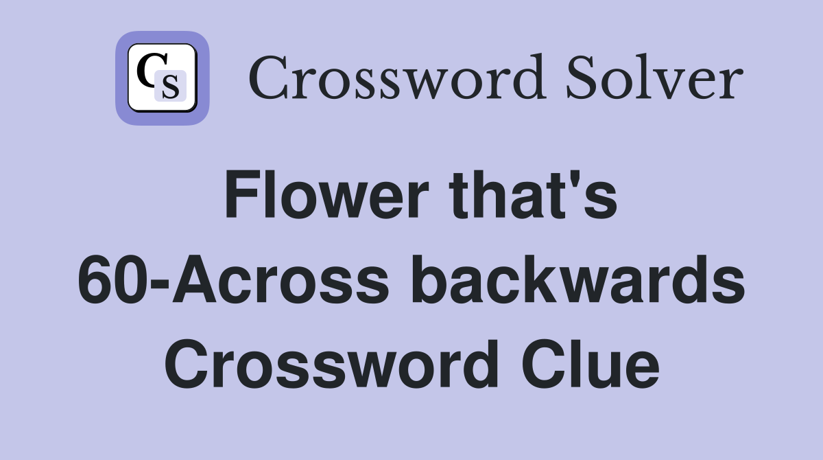Flower that's 60-Across backwards Crossword Clue