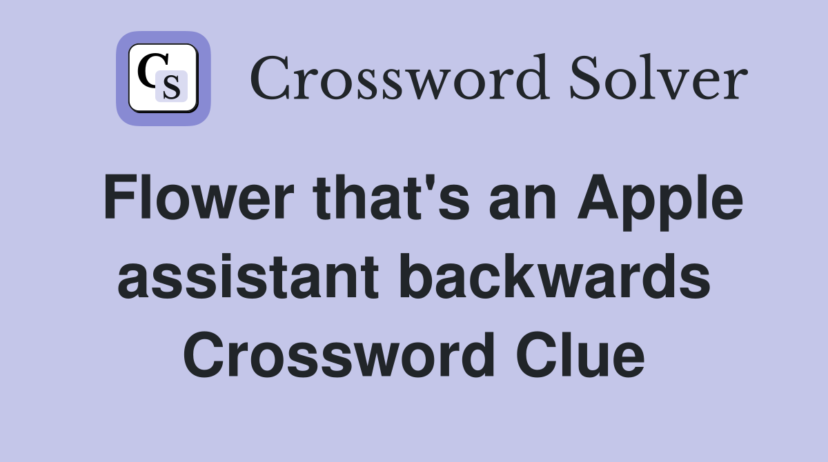 Flower that's an Apple assistant backwards Crossword Clue