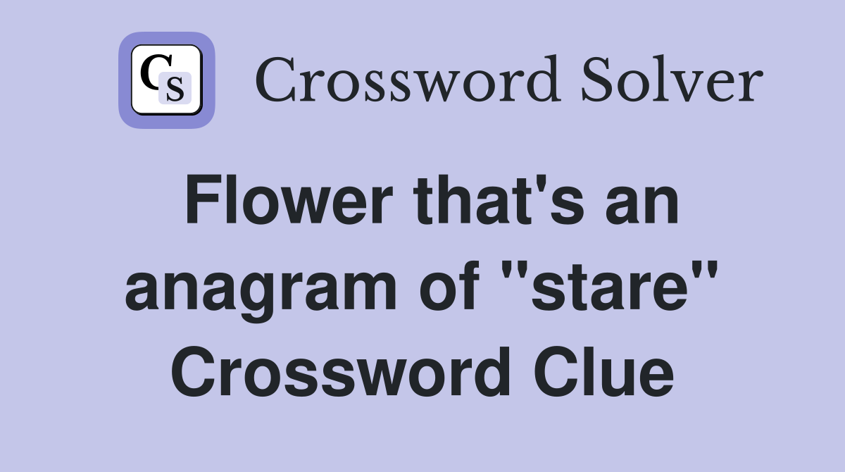 Flower that's an anagram of "stare" Crossword Clue